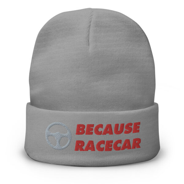 Because Racecar - Image 5